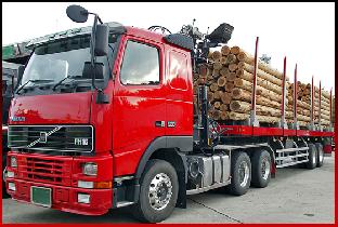 Сложности при перевозке бревен